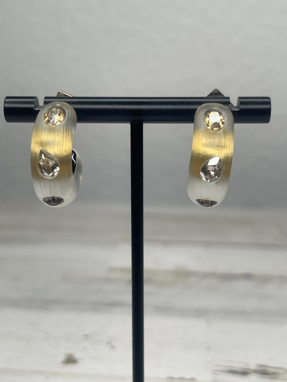 Alexis Bittar Frosted Gradient Lucite Crystal Hoop Earrings